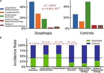 Predictive Model of Dysphagia and Brain Lesion-Symptom Mapping in Acute Ischemic Stroke